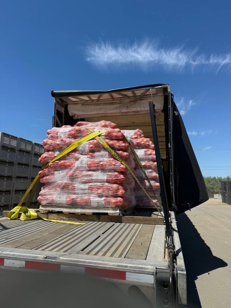 Real shipment 6